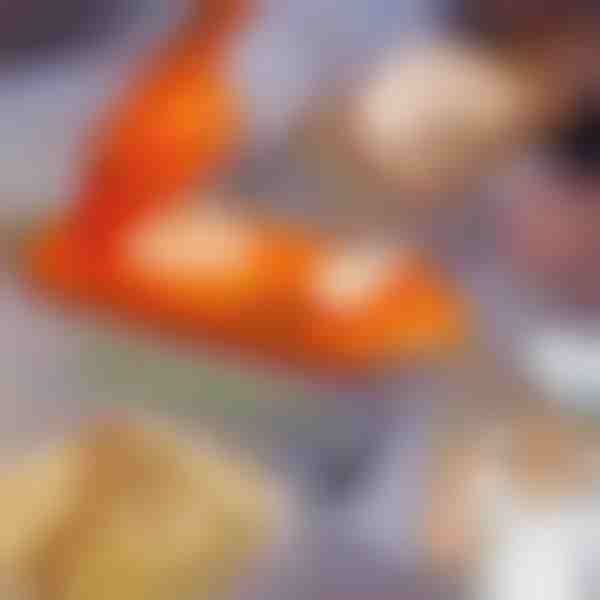 2en1 dumpling maker | DUMPLINGER