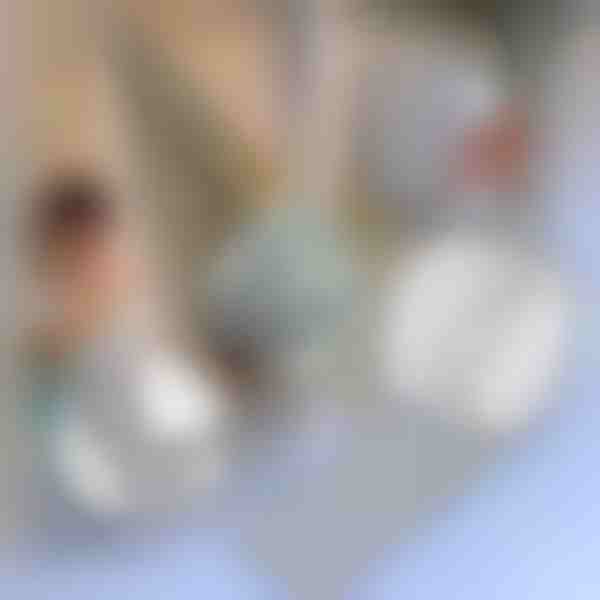 Cinta reparadora para mosquiteras | INSECTAPE