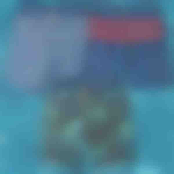 Bañador de secado rápido | TOGGIES