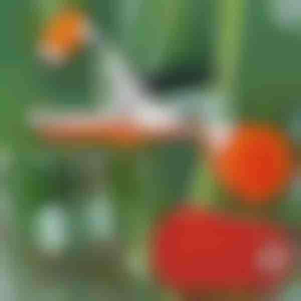 Máquina profesional de atado de plantas | PLANTBRAND