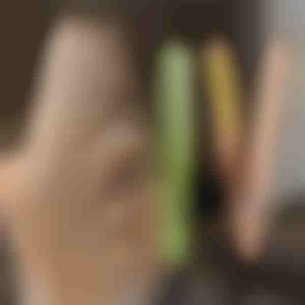 Plancha para rizar y alisar el cabello TWISTLINE