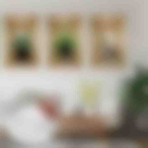 Vinilos de pared 3D (3 unidades) | VASUART