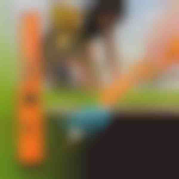 Detector de metales portátil con vibración sonora | HANDYHUNT