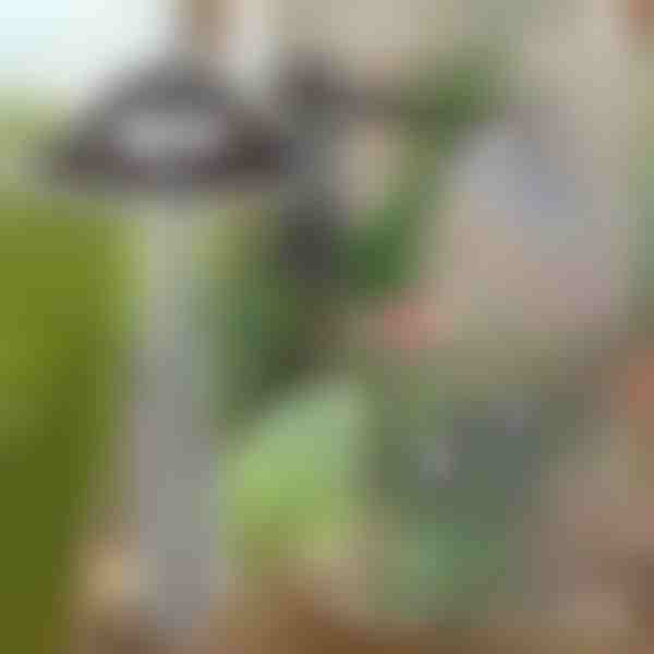 Azada de jardín para facilitar la eliminación de malas hierbas | GRASSOE