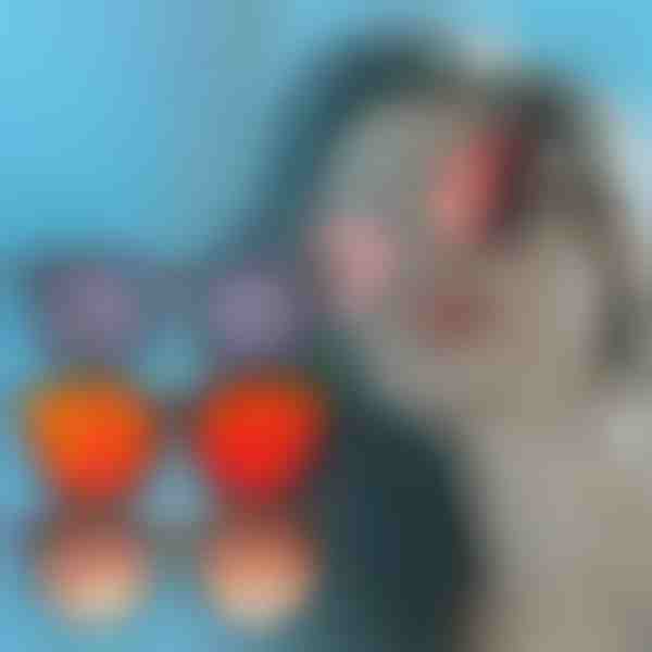 Gafas de sol | MADSUN