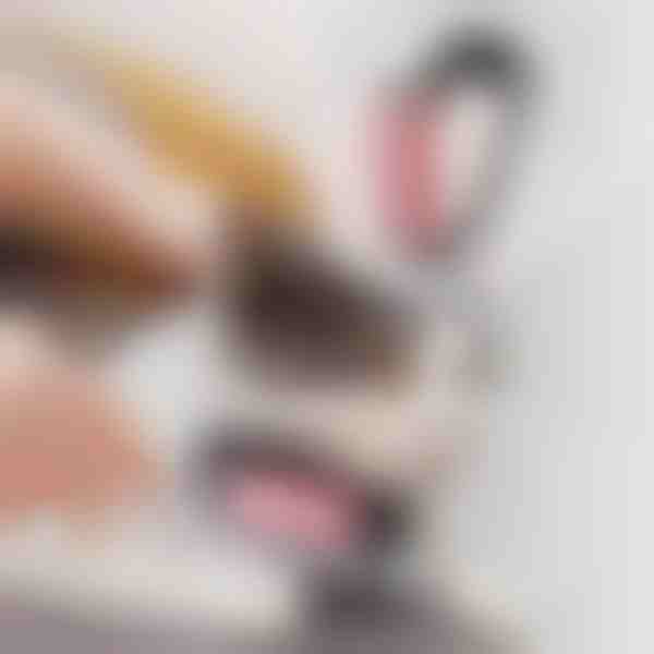 Cepillo 2 en 1 para mascotas | GATOBRUSH