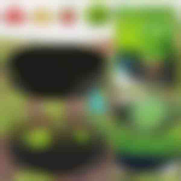 Jardín ecológico para tus plantas | PLANTIE