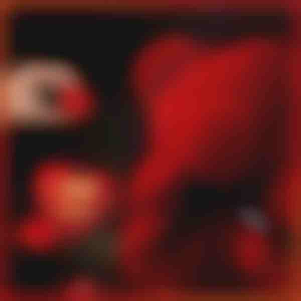 El regalo que habla de amor | LOVEBEAR