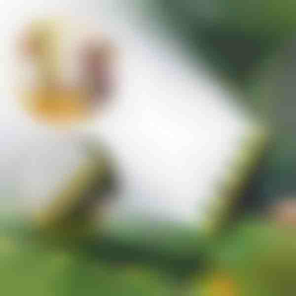 Aspersor multicabezal | SPRAYMASTER