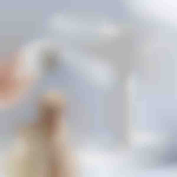 Cepillo vaporizador recargable para mascotas para la muda | GROOMSY