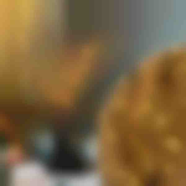 Luces de Ramas | BRANCHLUMOS