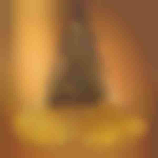 Luces para árbol de Navidad | IZIGLOW