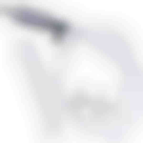 Kit de purgado de frenos | BLEEDHOSE